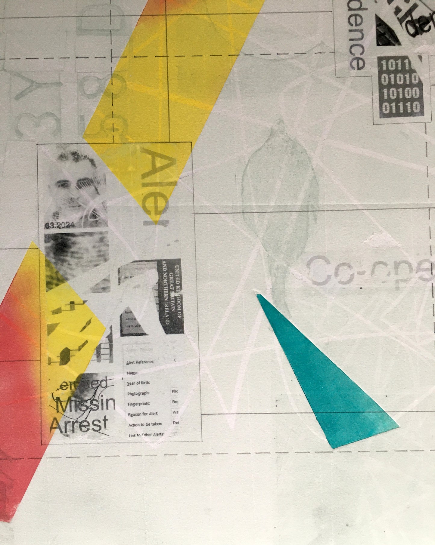 'Lost Synergy' - 2022 SCAF Emerging Artist Award Finalist